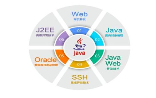 從入門到退坑 IT行業五大崗位全解析，軟件開發是否最賺錢？